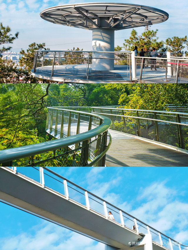 厦门旅行故事|狐尾山公园赏绝美夜景(附攻略)