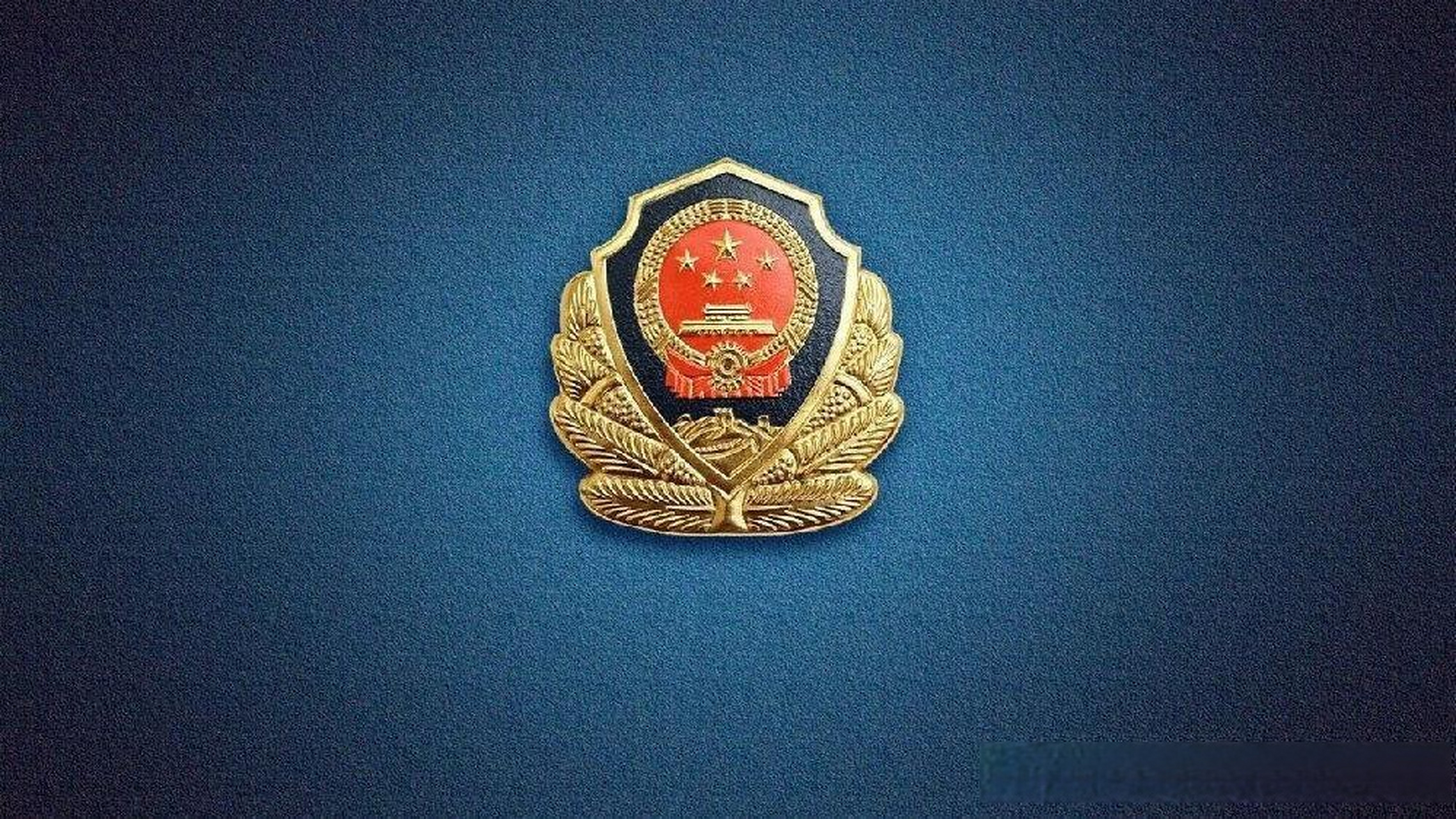 公安系统英雄模范以实际行动践行"十六字总要求"mp