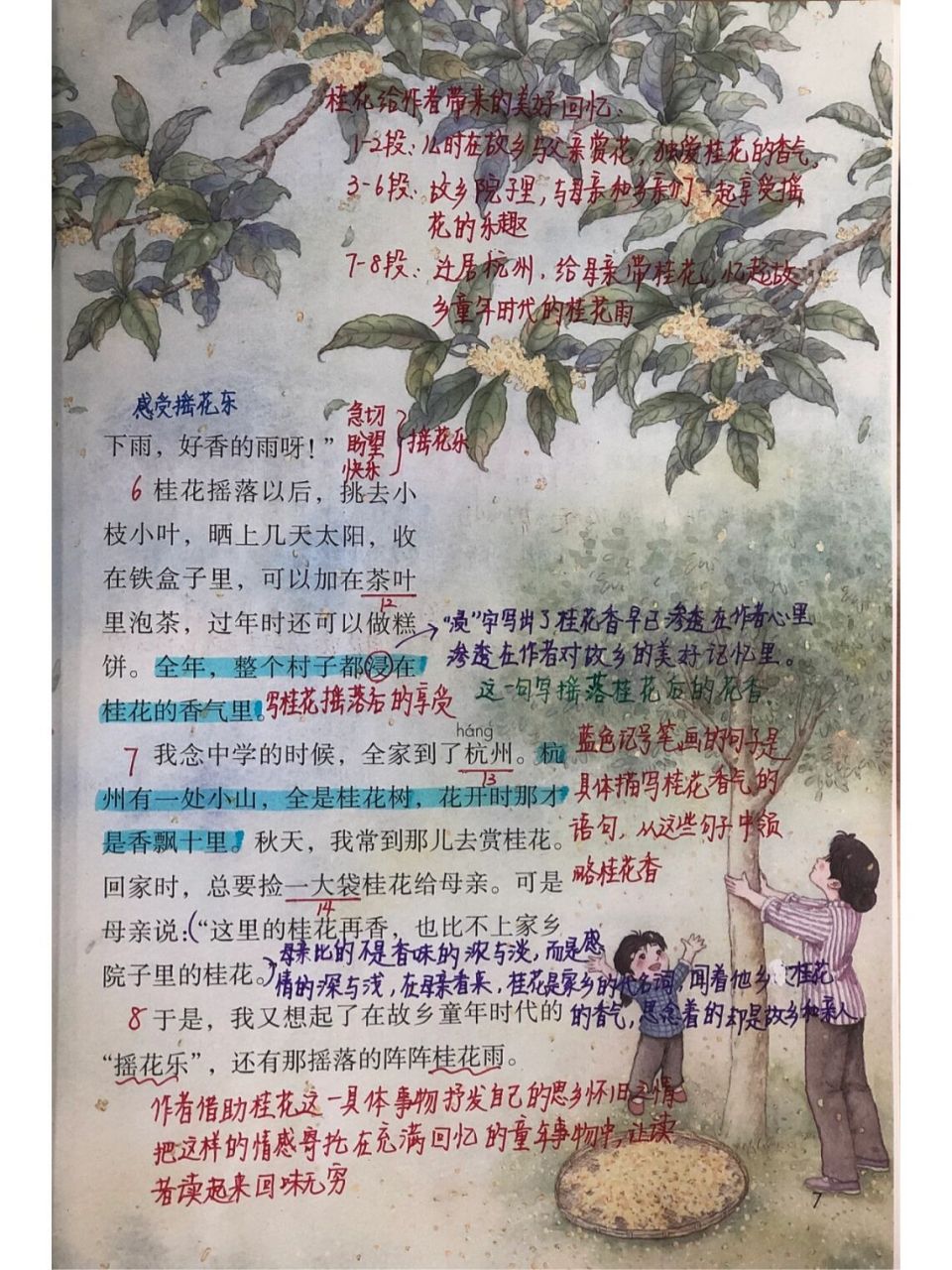 五年级上册第三课《桂花雨 作者简介课文主题作者情感备课笔记