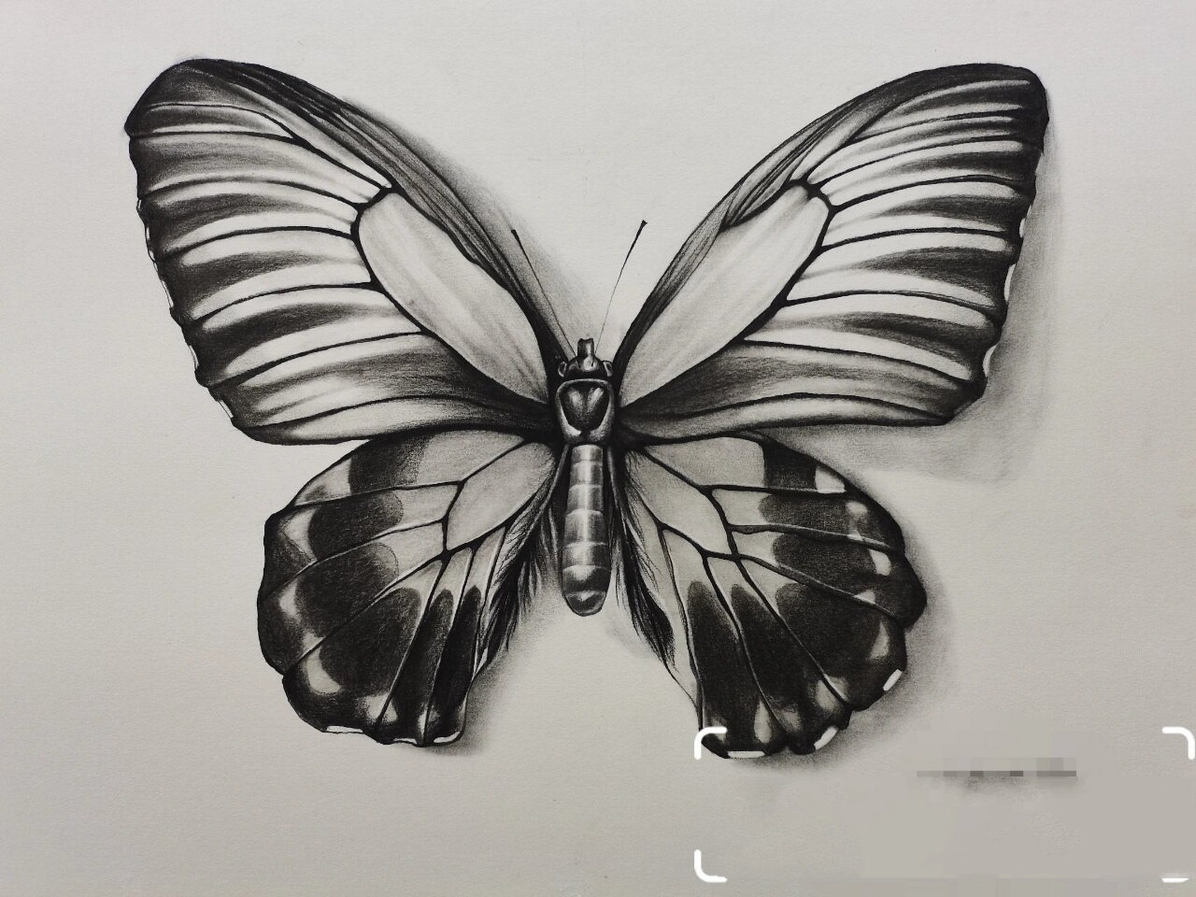 设计素描(解构重构) 分享自己原创作业.