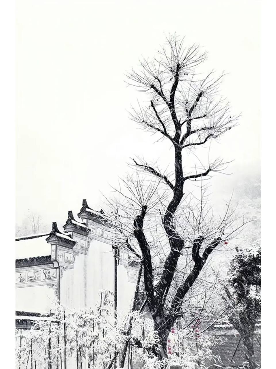 景琛同款壁纸找到啦 大家自己取图吧 得不到景琛,但同款壁纸还是可以