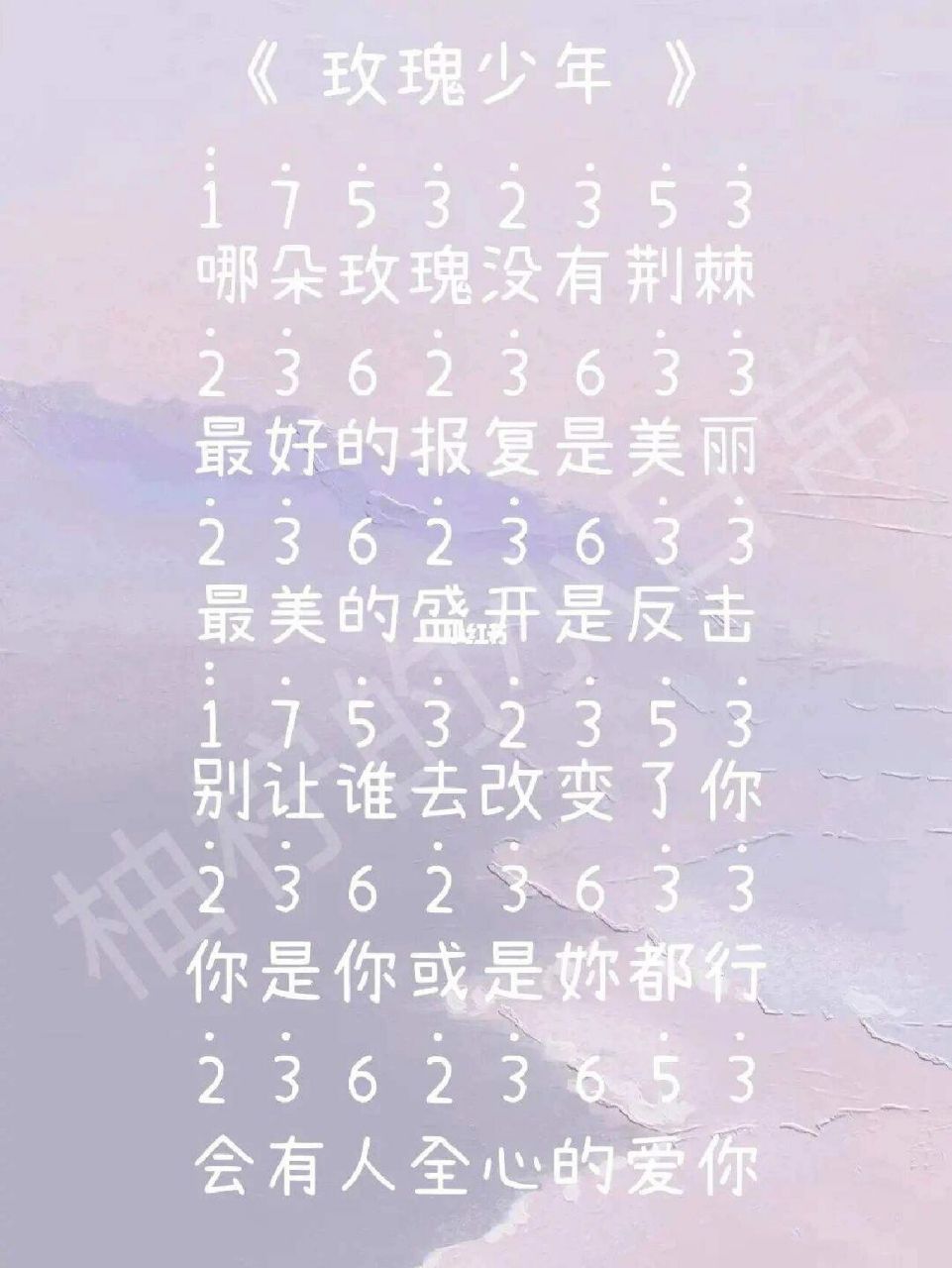 玫瑰少年的歌词