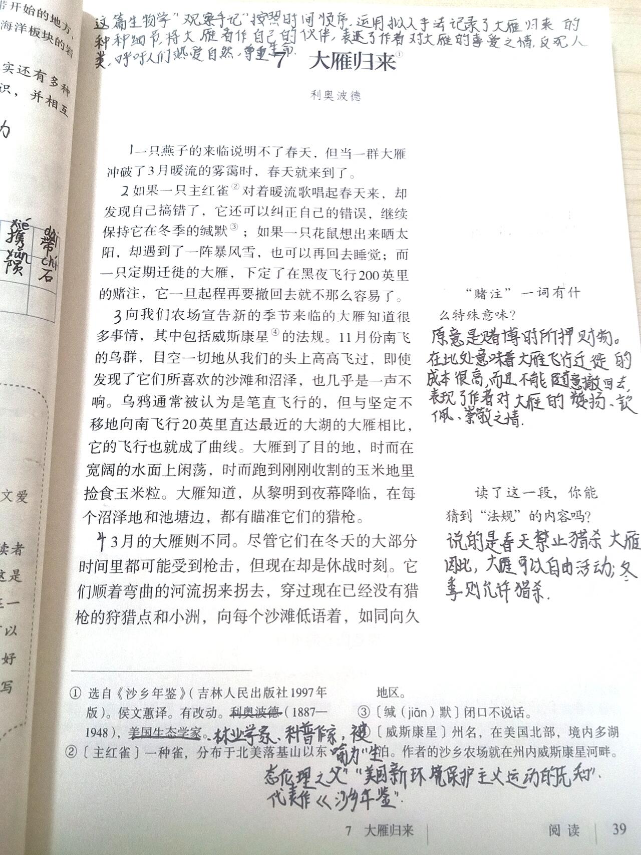 《大雁归来》课堂笔记