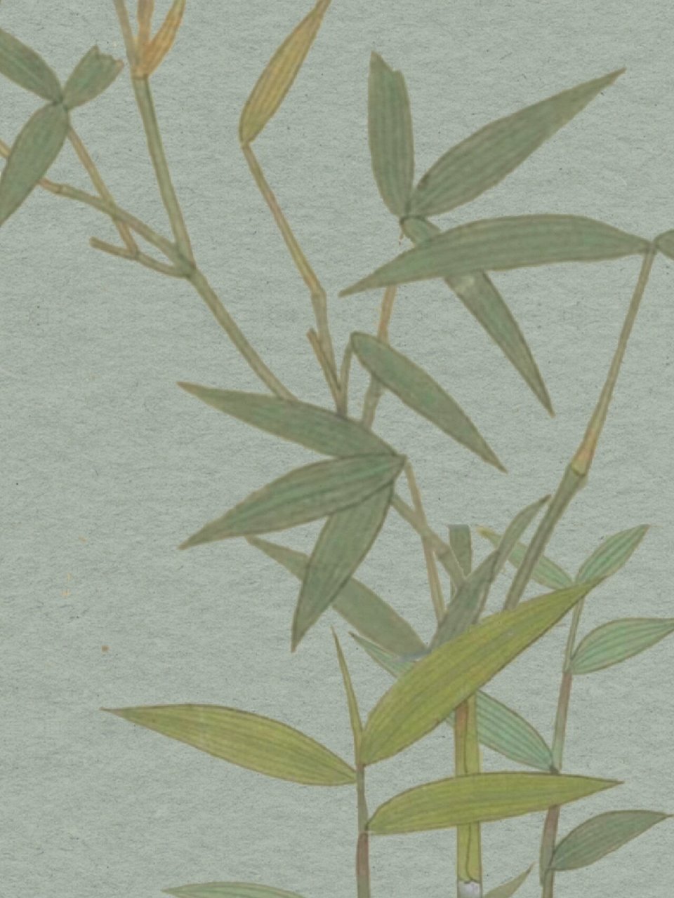 青竹|古风手机壁纸高清主题套图 数声风笛离亭晚,君向潇湘我向秦.