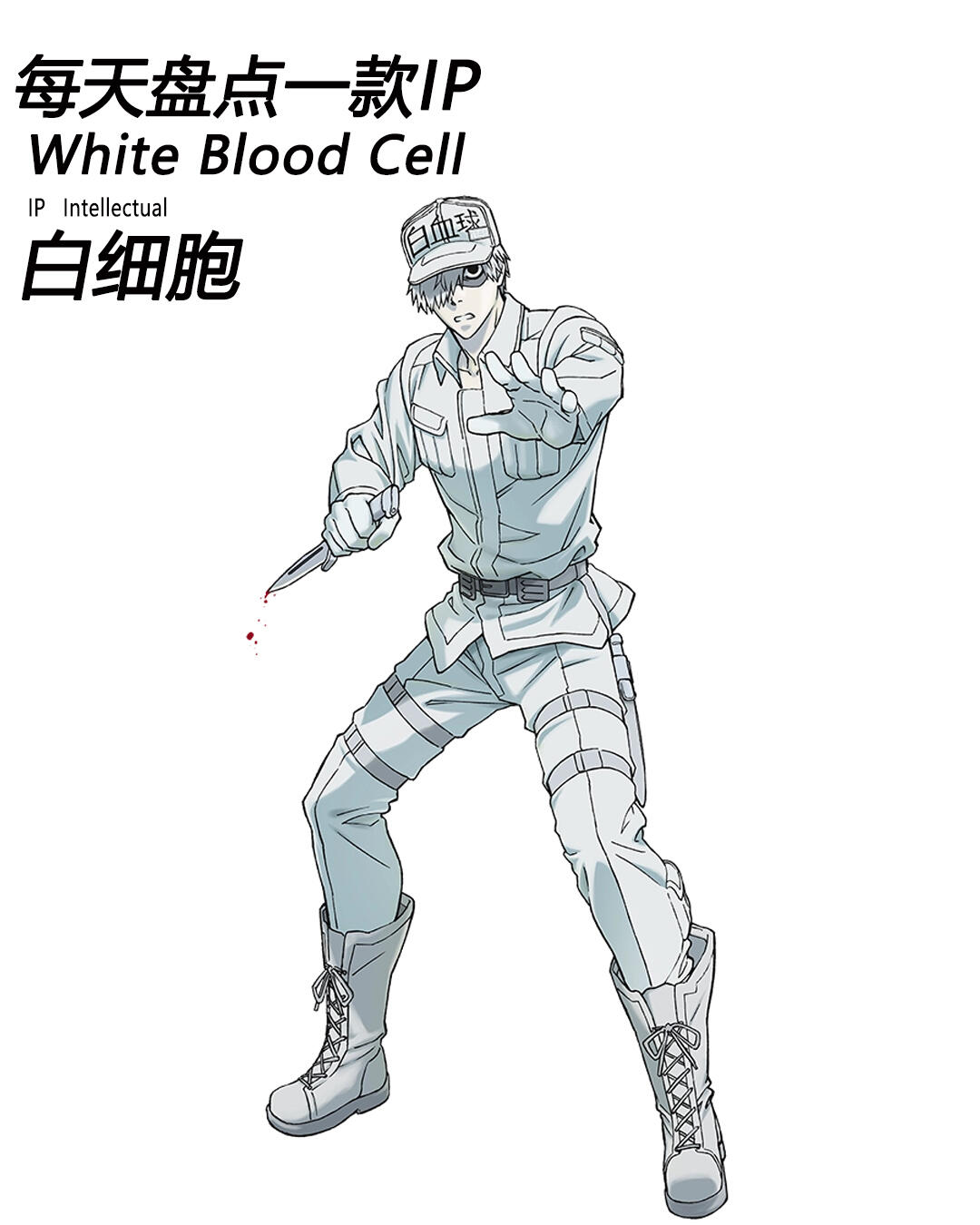 白细胞《工作细胞》 ip简介: 中文名:白细胞 外文名