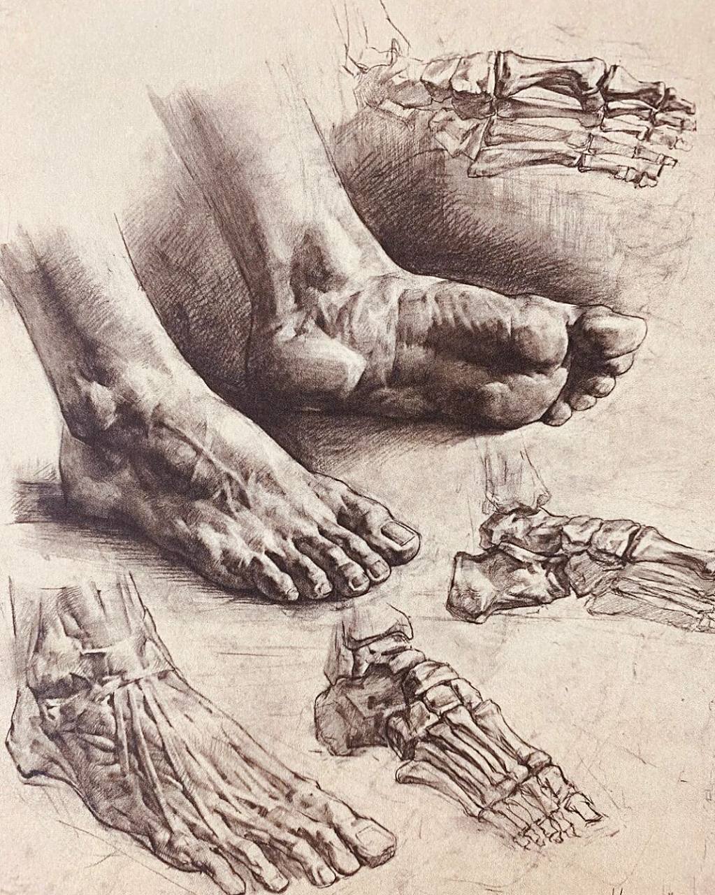 结构素描|脚部 这几张图掌握了,脚再也不是问题!