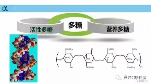 来了解一下