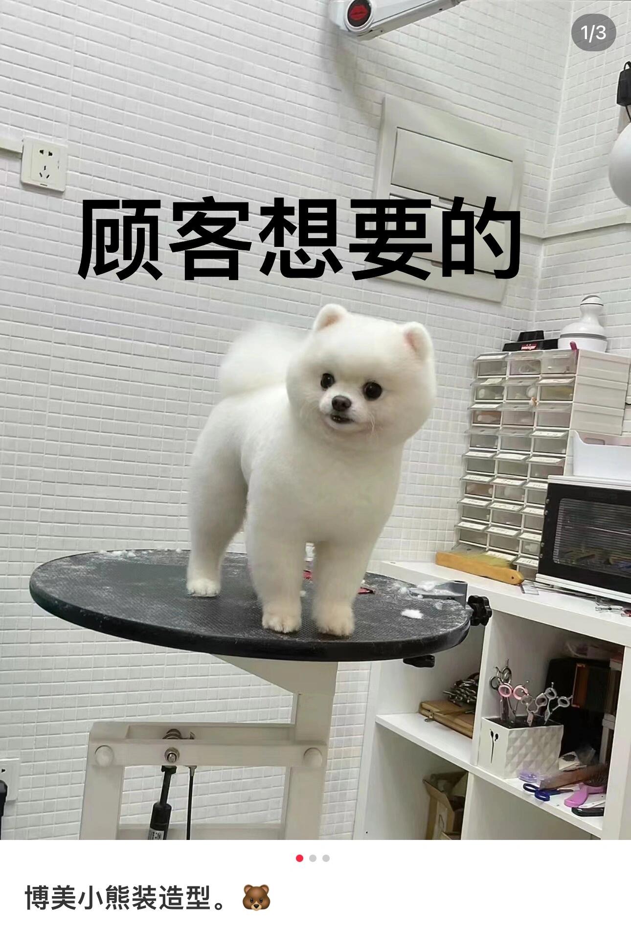从设计到制作,每一个细节都经过了精心打磨,只为给博美宝宝们带来