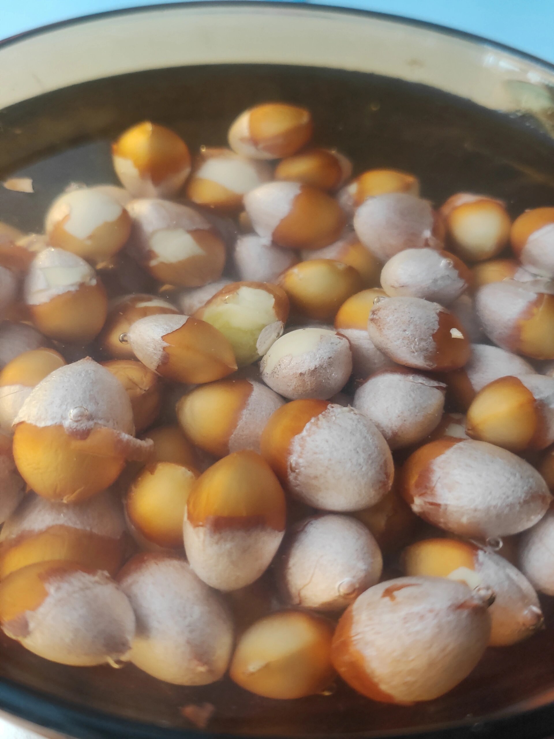 银杏果(白果)的正确吃法