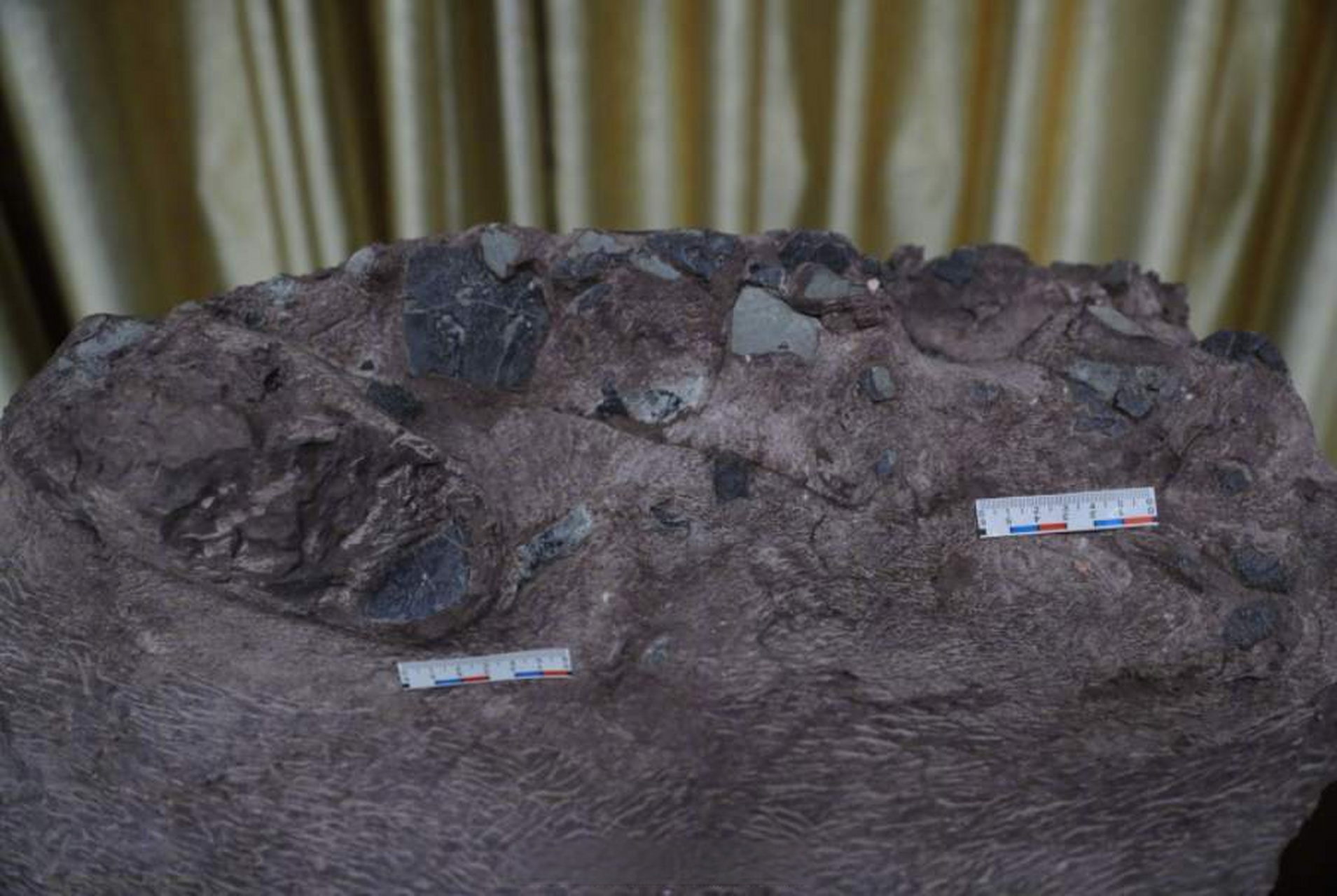 【#福建上杭首次发现6枚恐龙蛋#】记者18日从上杭县自然资源局获悉