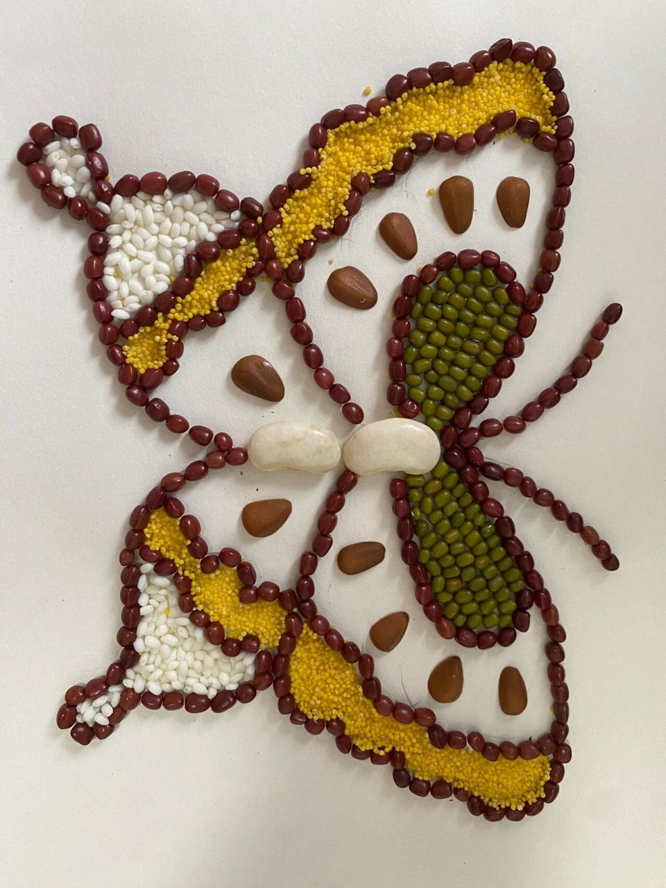 介绍秋季谷物系列.2.