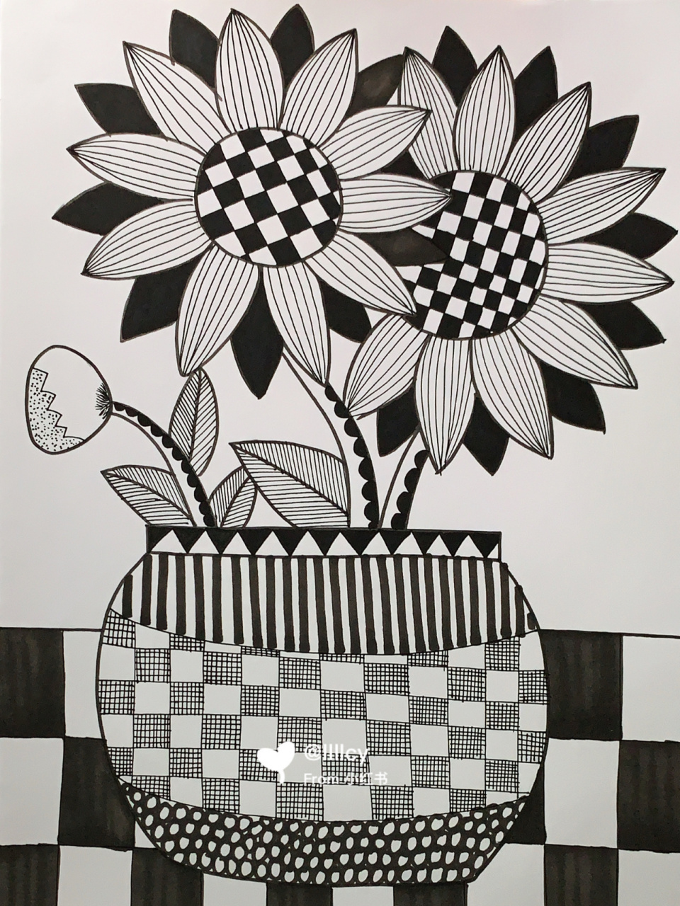 线描向日葵 #线描