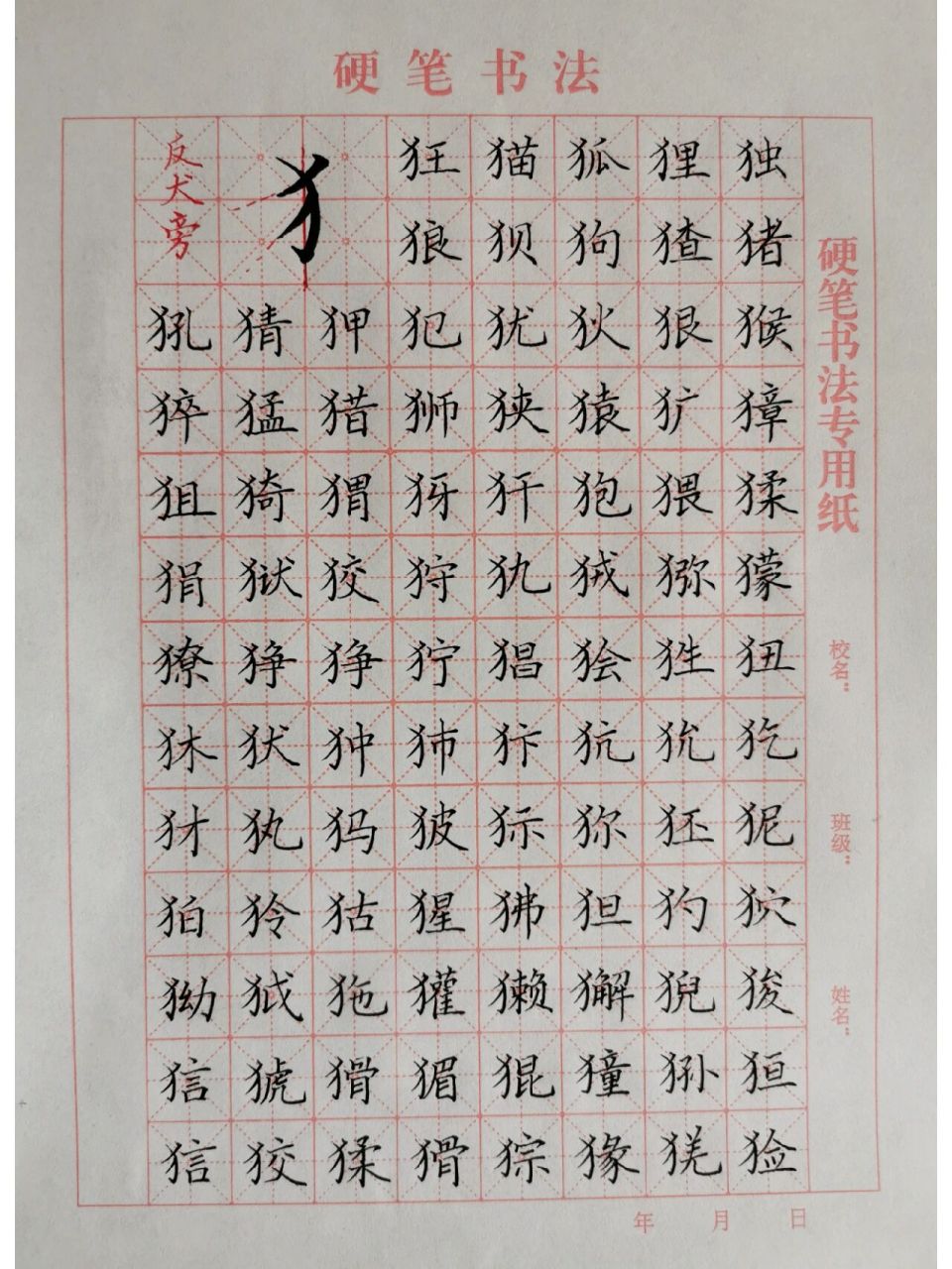 硬笔偏旁集字练习|反犬旁 伟大的生命,不论以何种形式,将会在宇宙间