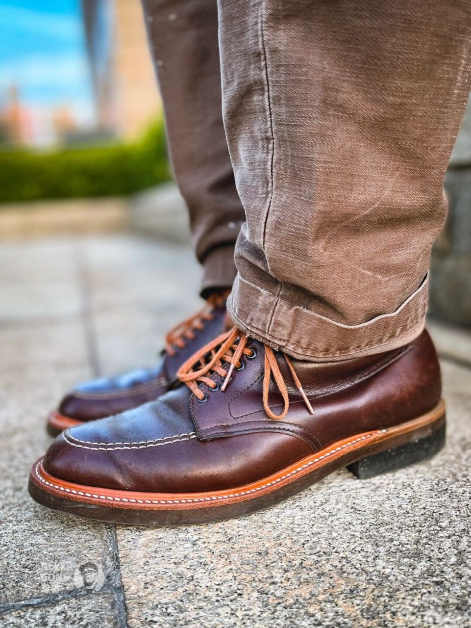 今日alden indy #阿美咔叽# #美式复古# #alden# #prps# #horween