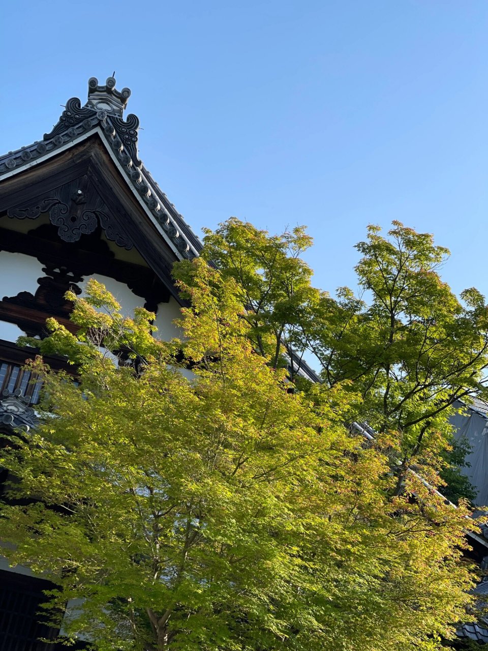 京都京都府高台寺图片