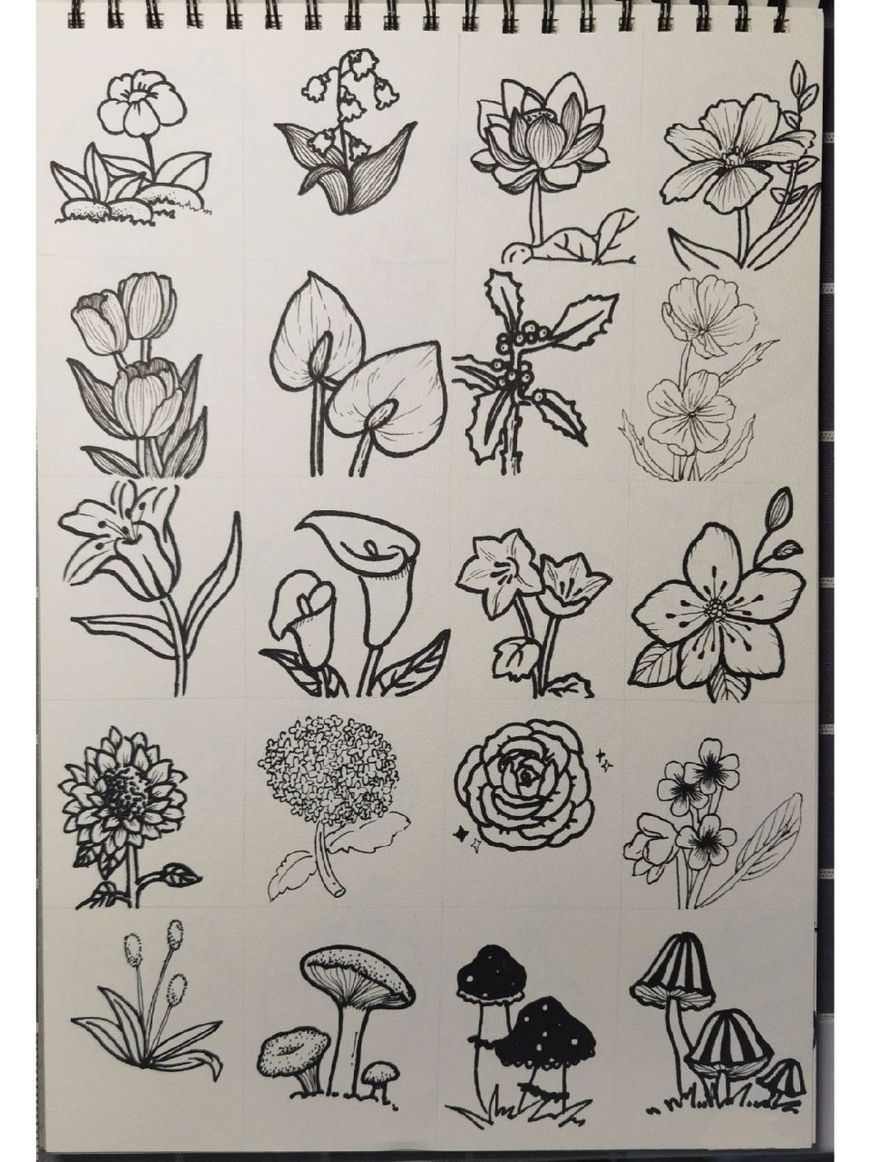 植物类简笔画Ⅰ黑白手绘Ⅰ手绘简笔画Ⅰ临摹 这周的简笔画作业来喽