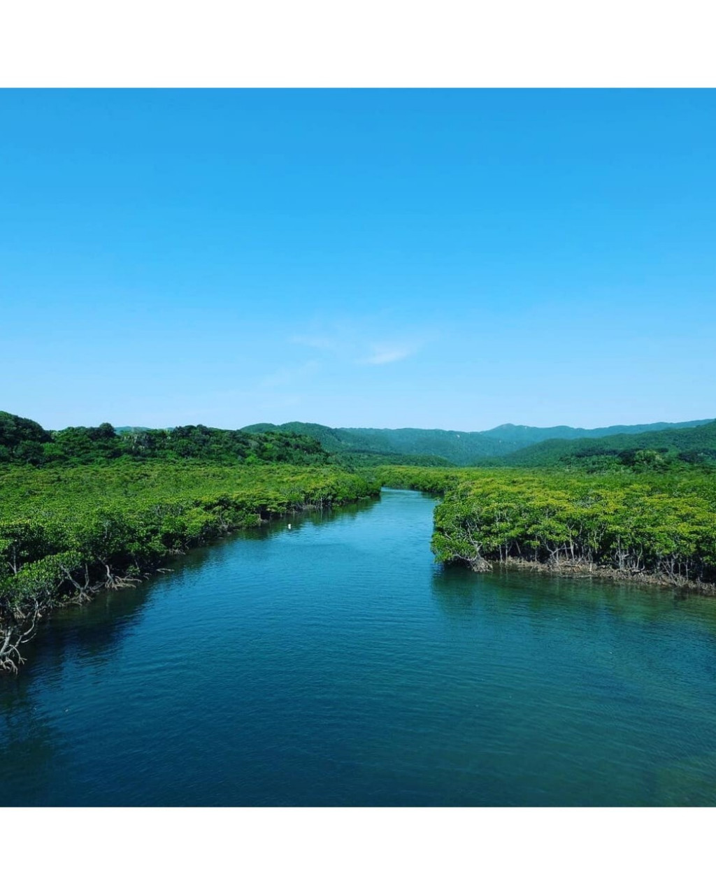 森林与大海的旅行◎冲绳西表岛 99159115全岛面积约289平方