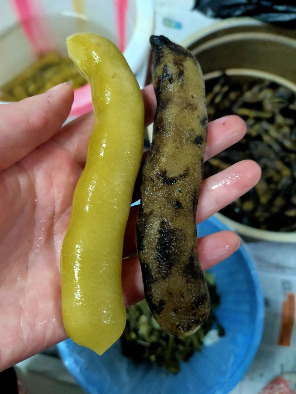 93猫猫豆,也叫狗爪豆,为豆科缠绕藤本植物,其种子和叶子可入药.