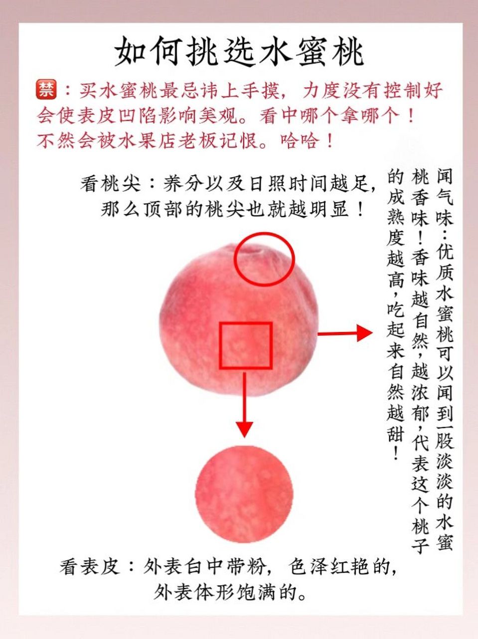 桃子品种介绍,3秒带你了解桃子 【水蜜桃营养】 水蜜桃的营养价值非常