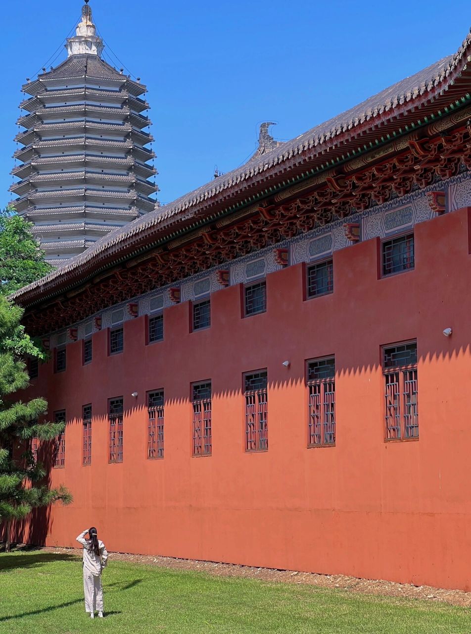 来我家乡玩一天|沈阳不可错过的公园 99浑南区白塔堡 	 07免费