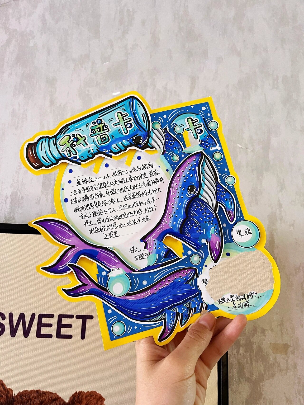 读书卡 科普卡 手工 手工卡片