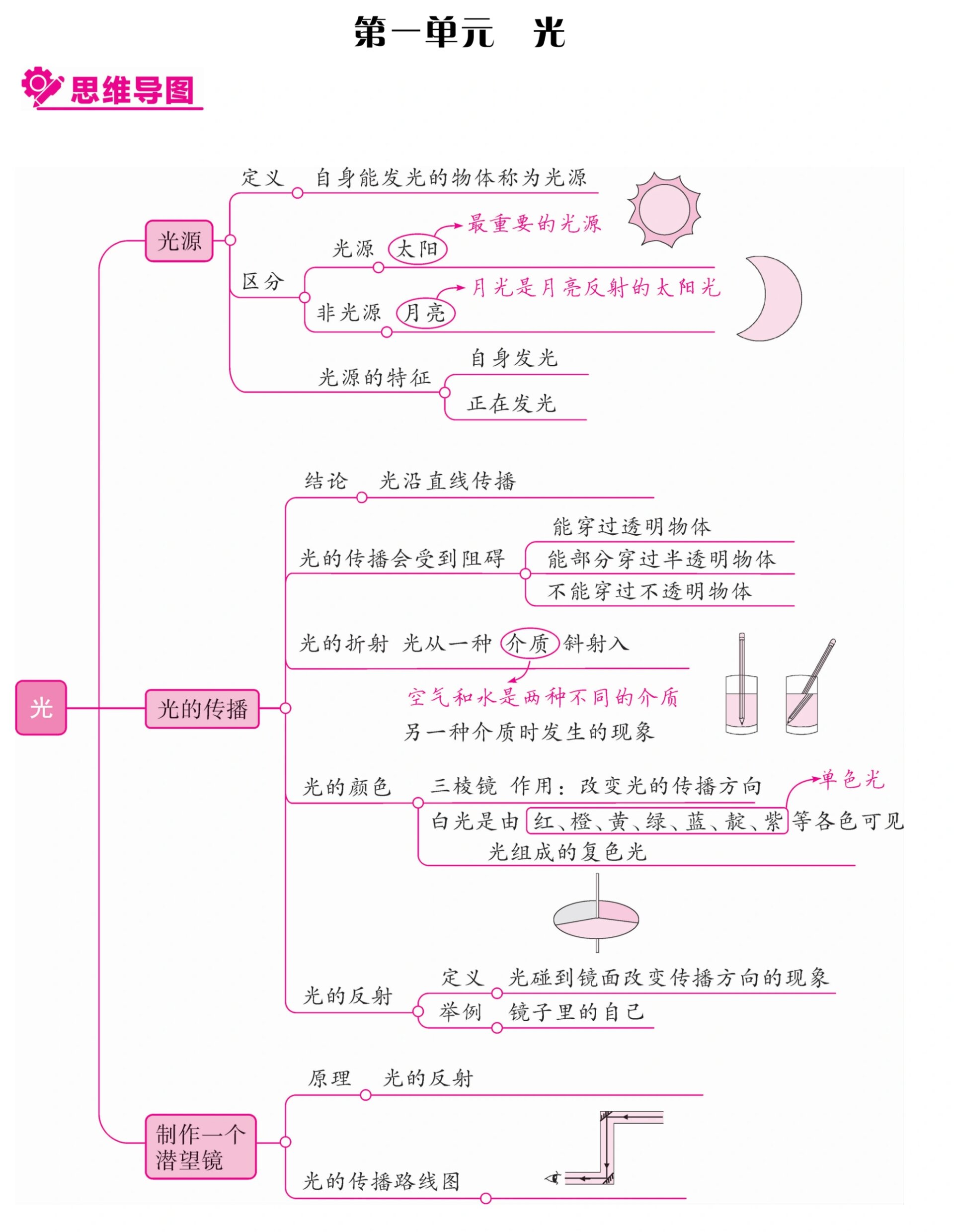 思维导图科学五年级图片