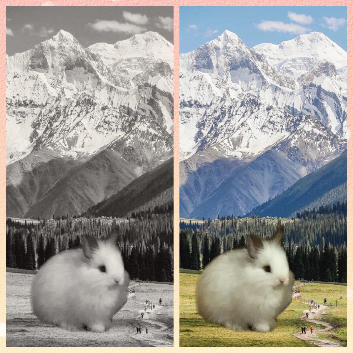 在上个世纪,有一种身型巨大的兔子,生活在阿尔卑斯山底,被称为"费可巨