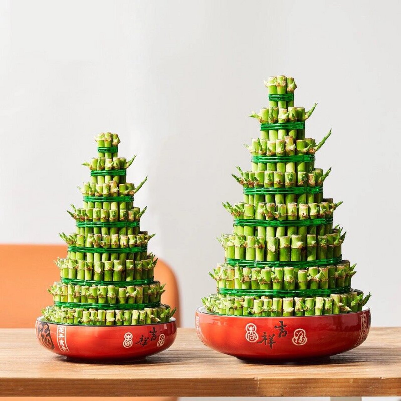 富贵竹|转运竹|宝塔|大展鸿图 节节高升,竹报平安 家里人运气不好的