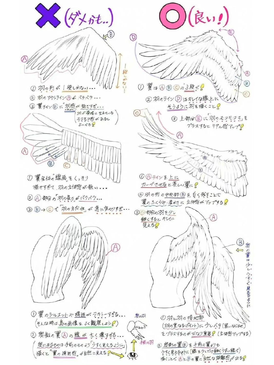 翅膀绘制参考教程