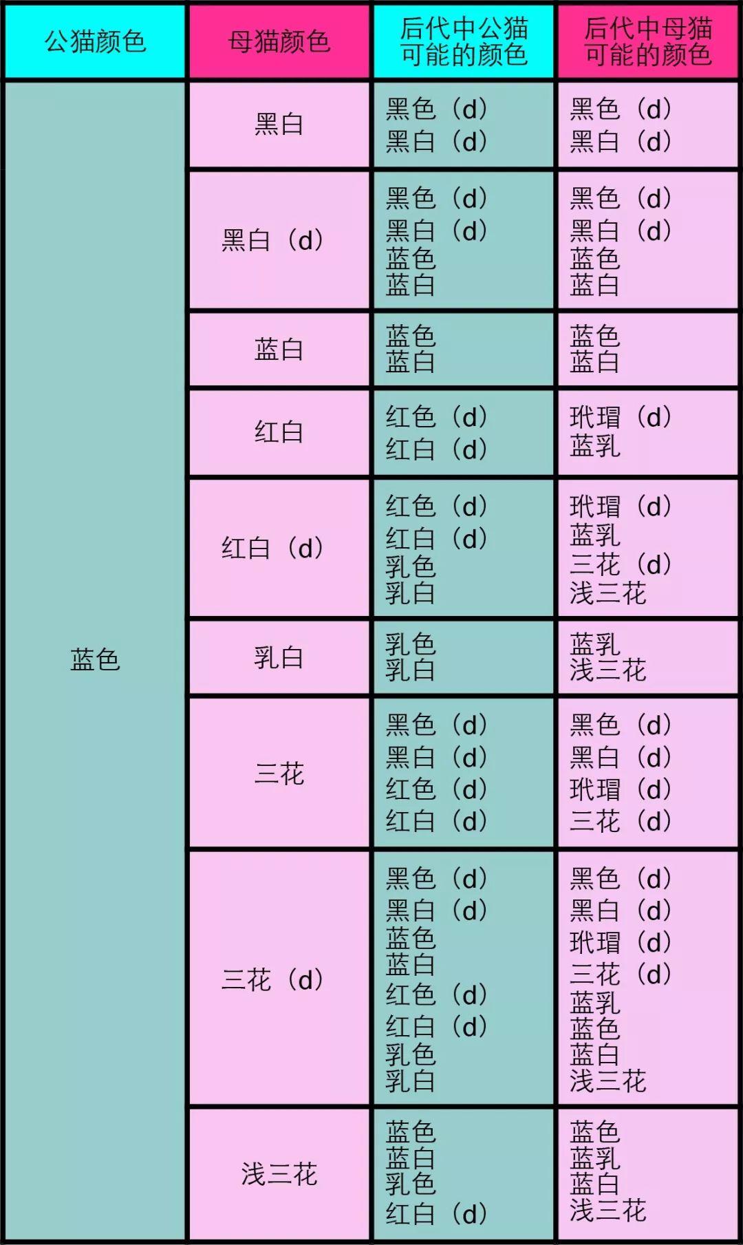 猫咪繁育配色表图片