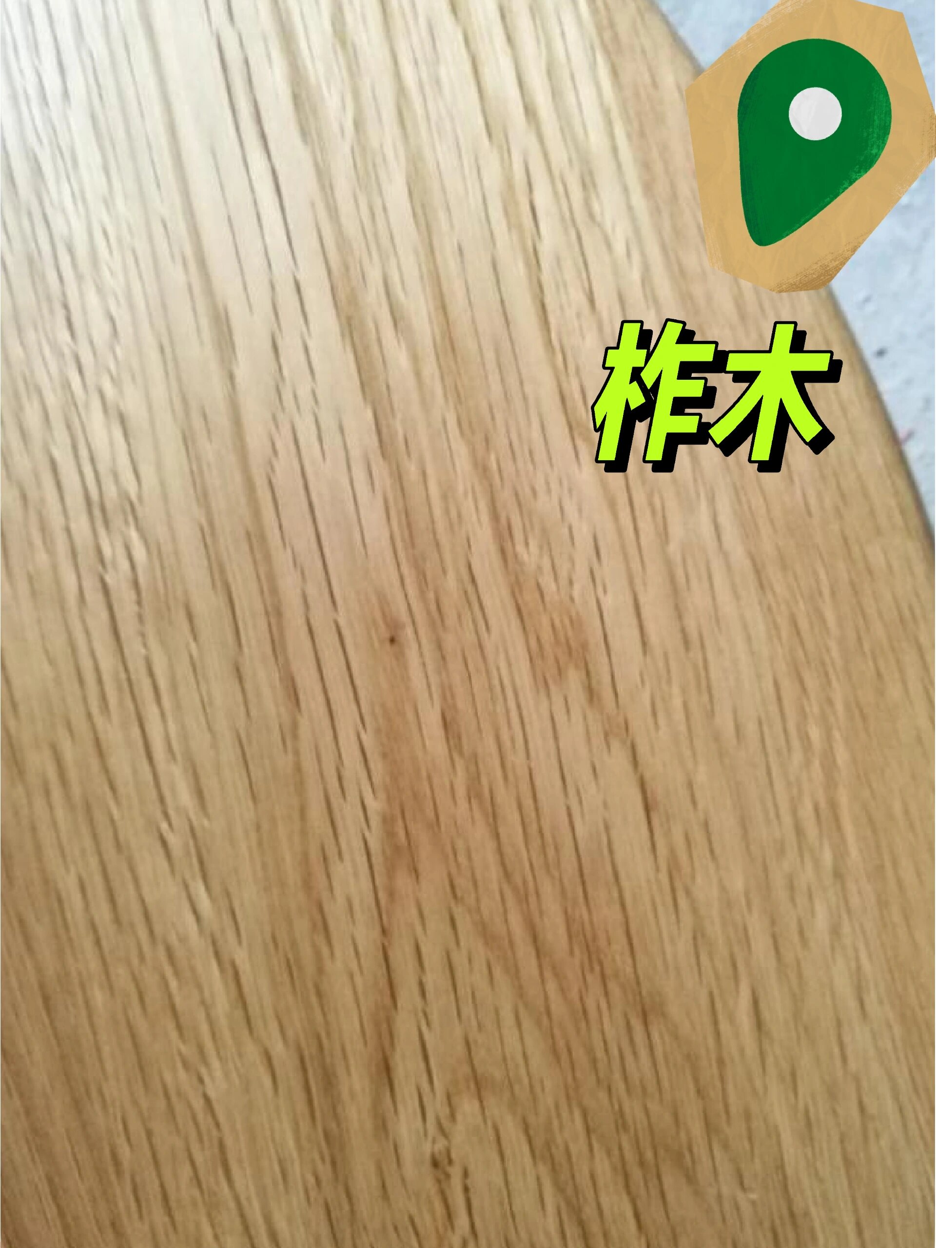 橡木常见骗局 北美橡木有两种,1 白橡木【白栎木】 2 红橡木【红栎木