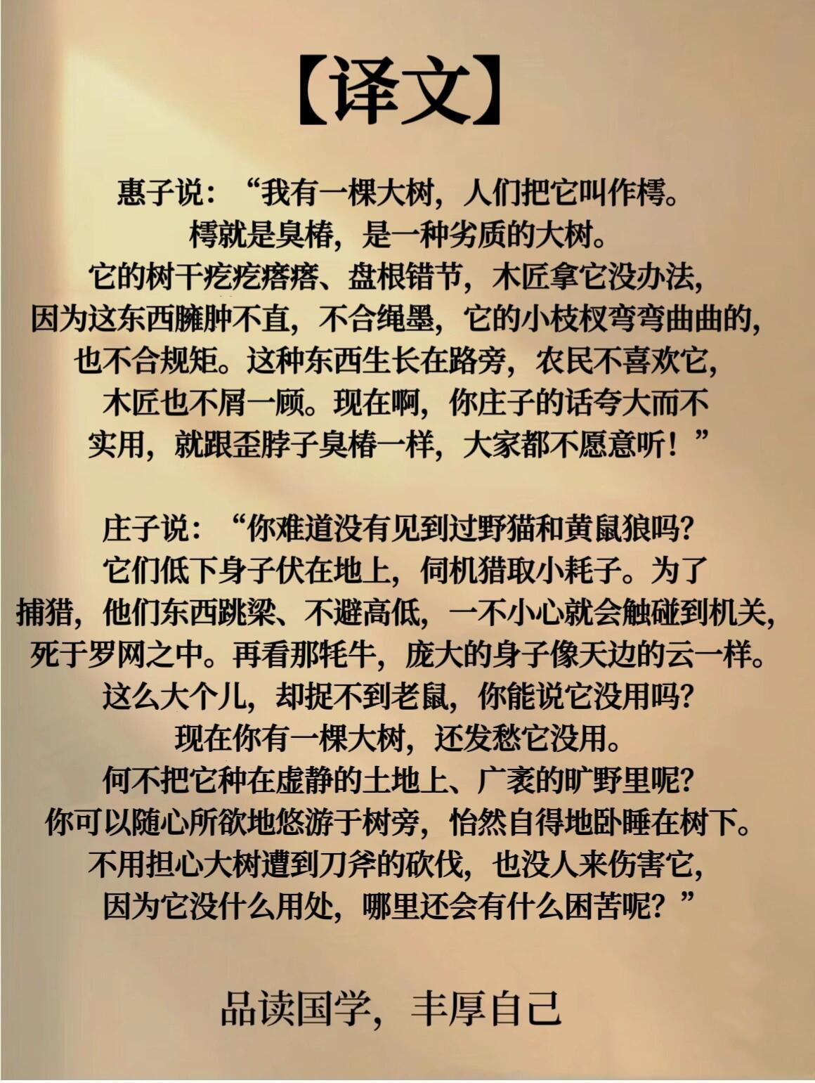 无用之用全文翻译庄子
