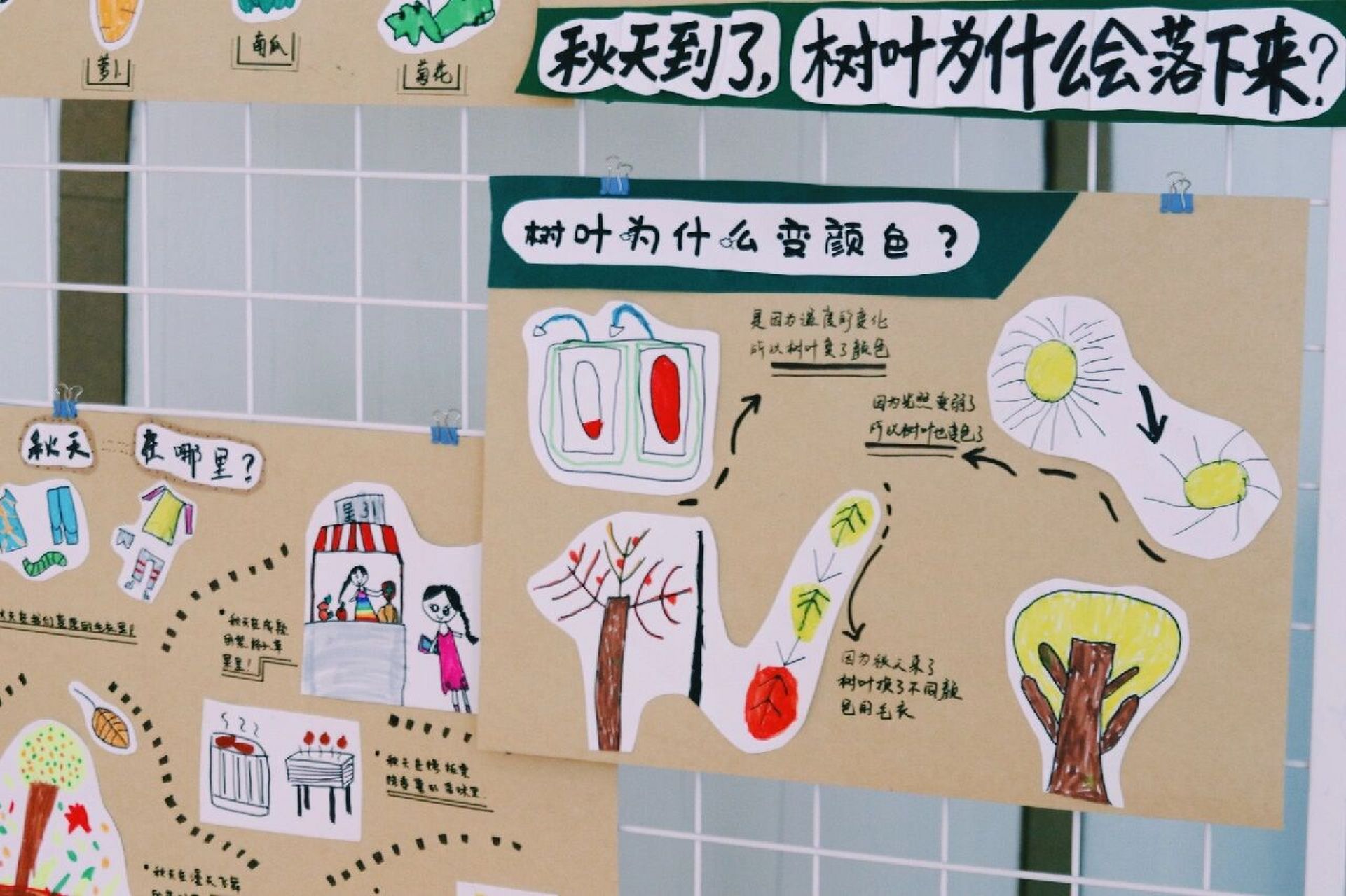 幼儿园秋天主题门厅环创 秋收冬藏 有借鉴小9498其他姐妹 辛苦