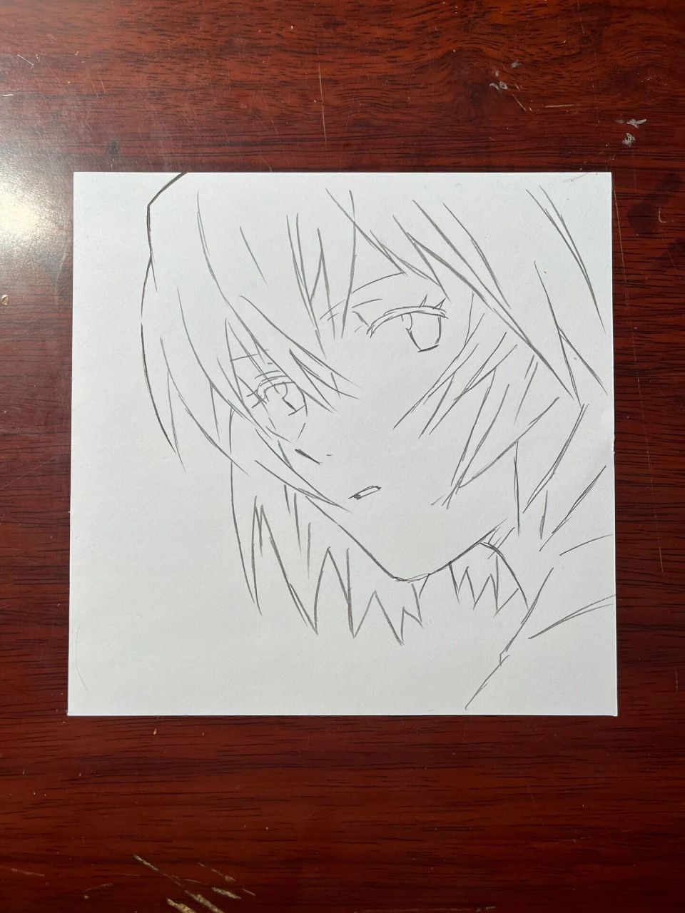 绫波丽教程来了 分解图上