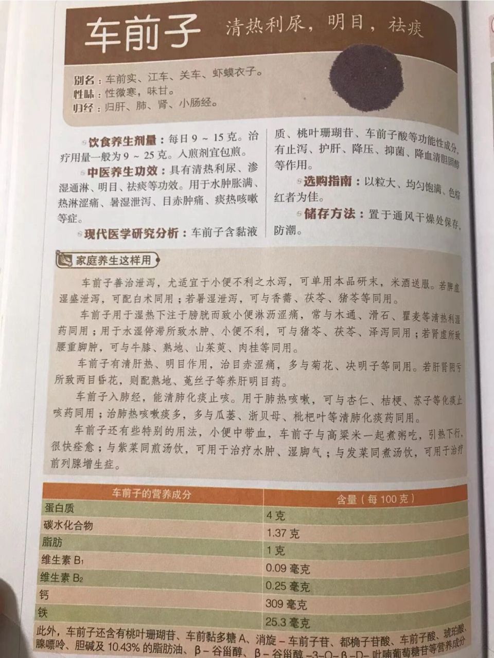 车前子用量图片