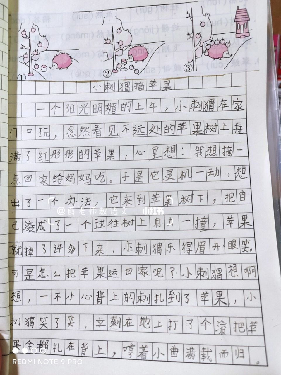 看图写话—小刺猬摘苹果96 这个看图写话是二年级必考的一个题目