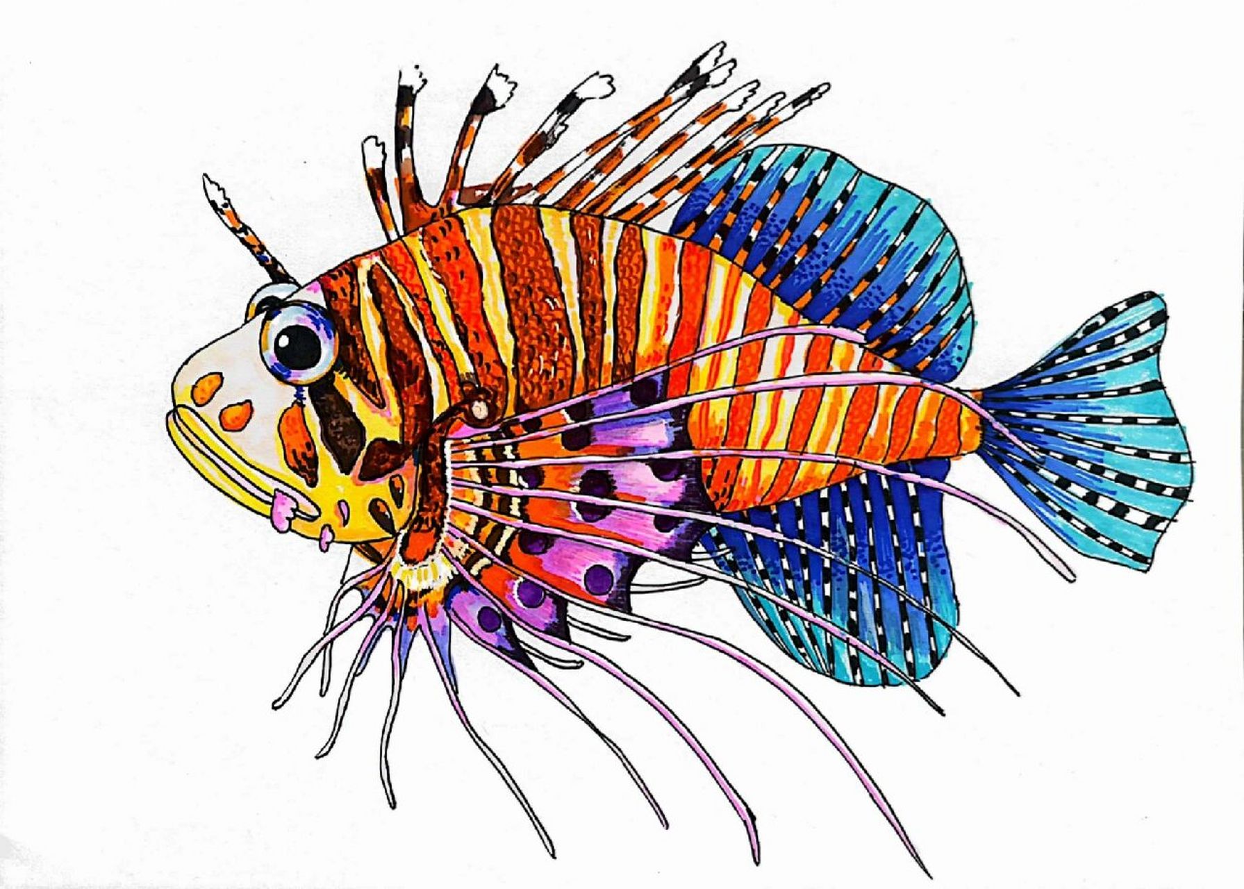 写生–狮子鱼(写生有课件步骤) 适合7-9岁 这个作品狮子鱼用的勾线笔