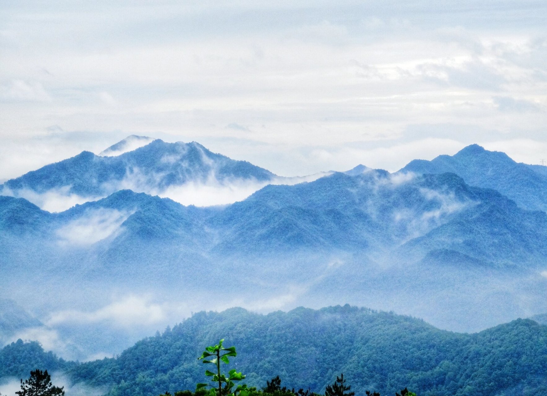 紫凝山的云雾 在天台山的紫凝山上 雨后随手拍拍 山峦叠嶂,云雾缭绕
