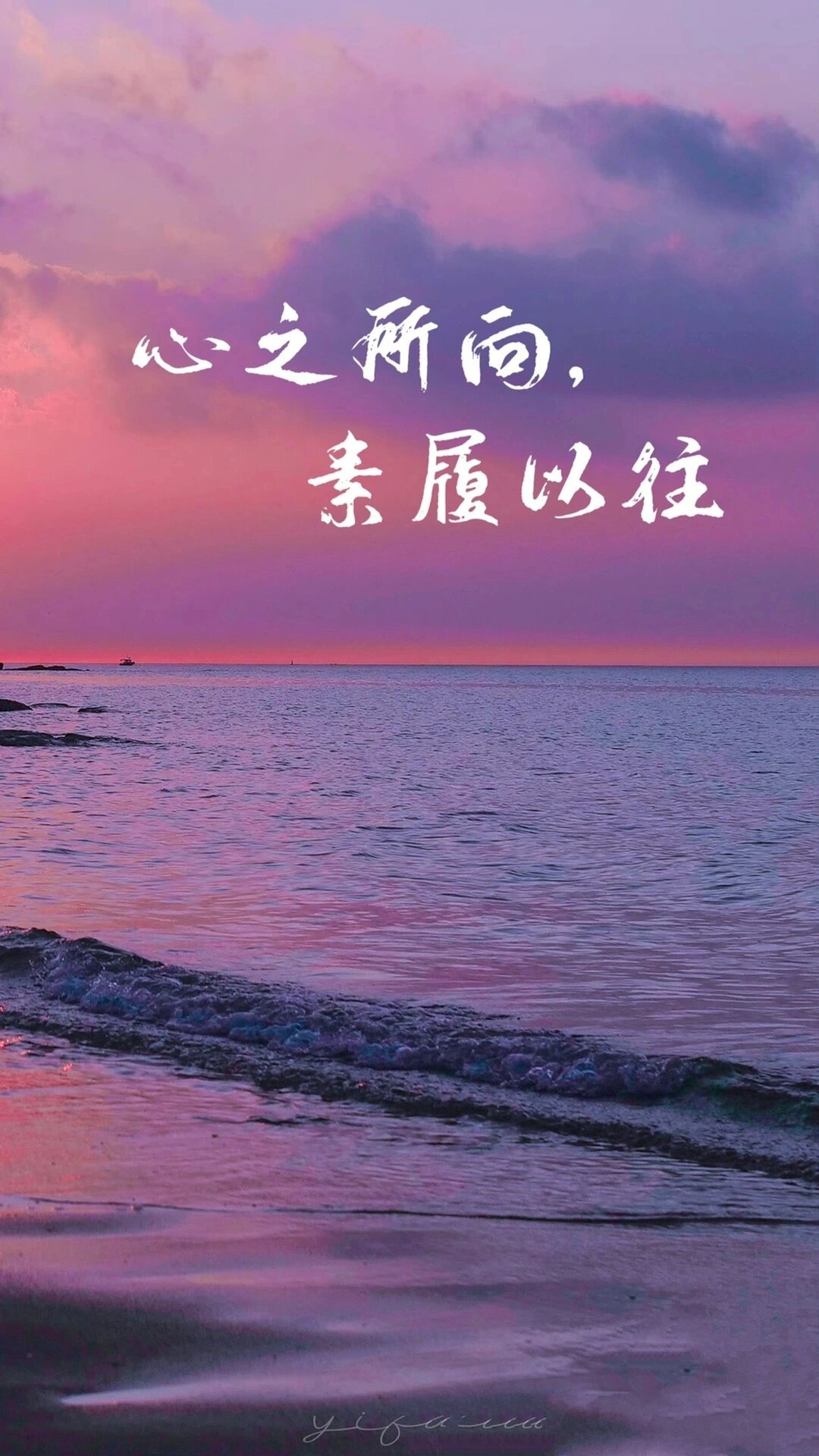心之所向,素履以往