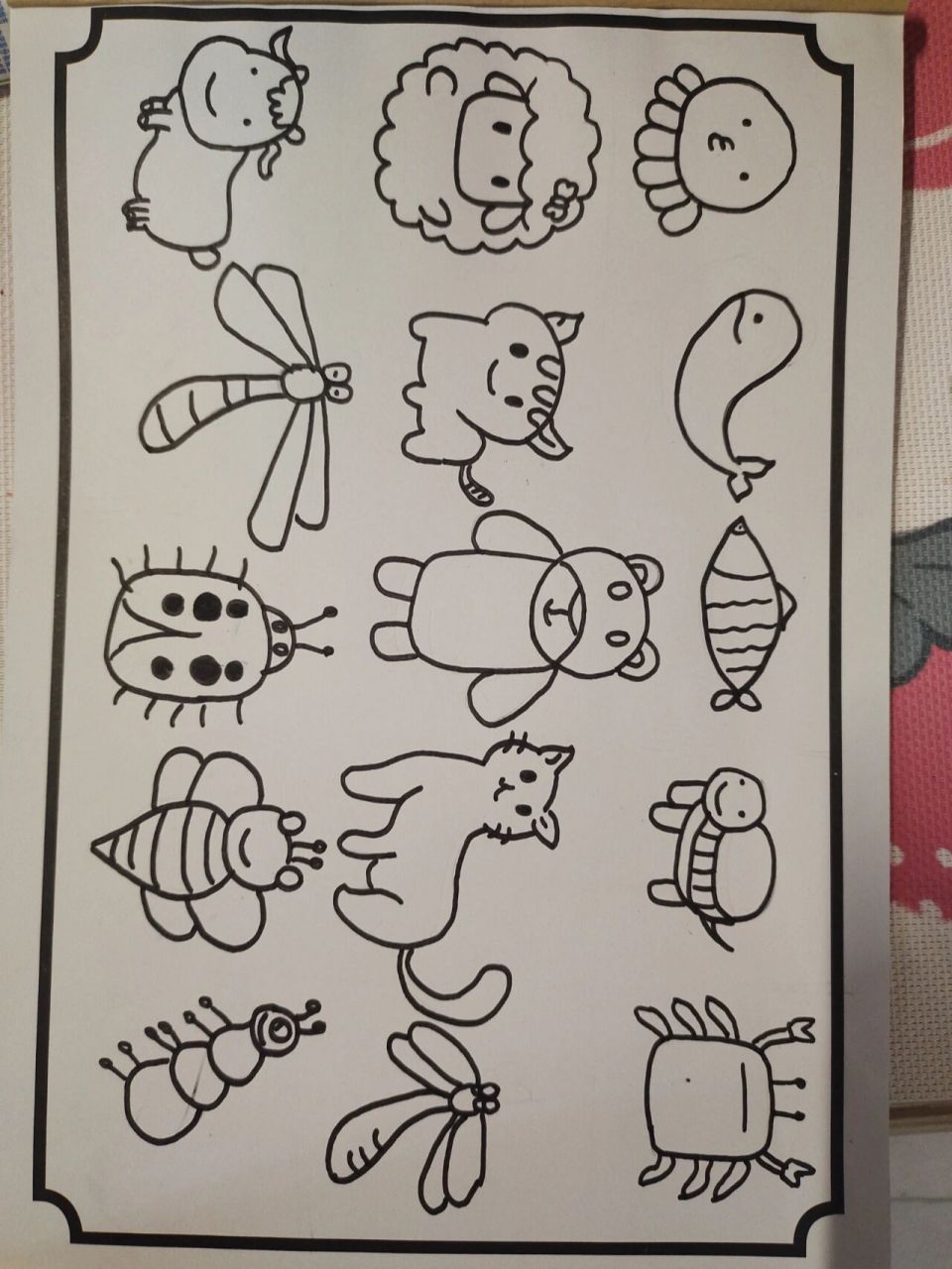 动物简笔画简单合集图片