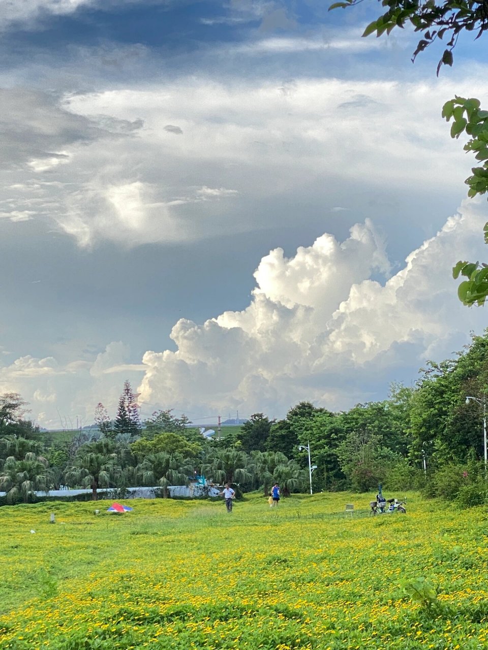 深圳东湖公园 东湖公园无论什么时候去,都会遇见别样的风景