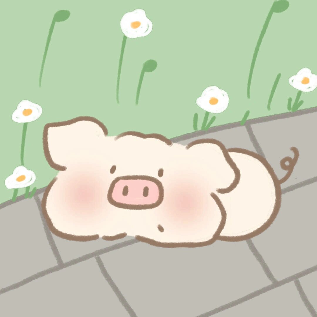 养猪手册Ⅰ情头 也许我们都不是玫瑰 但我们能够成为在岩石夹缝中