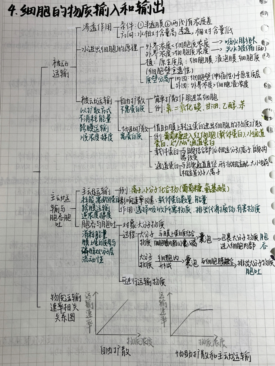 生物必修一第四章导图图片