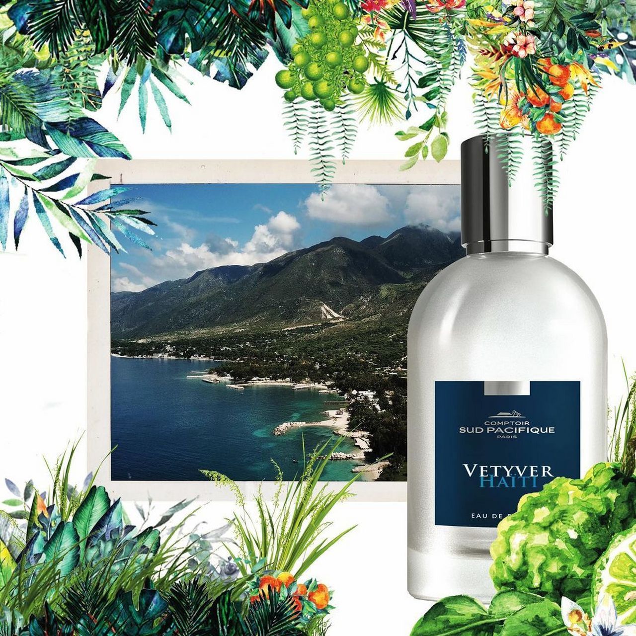 南太平洋店面 海地香根草——清新得体 ★★★★ 本香根草猎手出动!