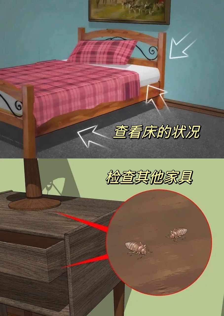 在床上寻找活的臭虫.仔细检查床上是否有长约0.1到0.