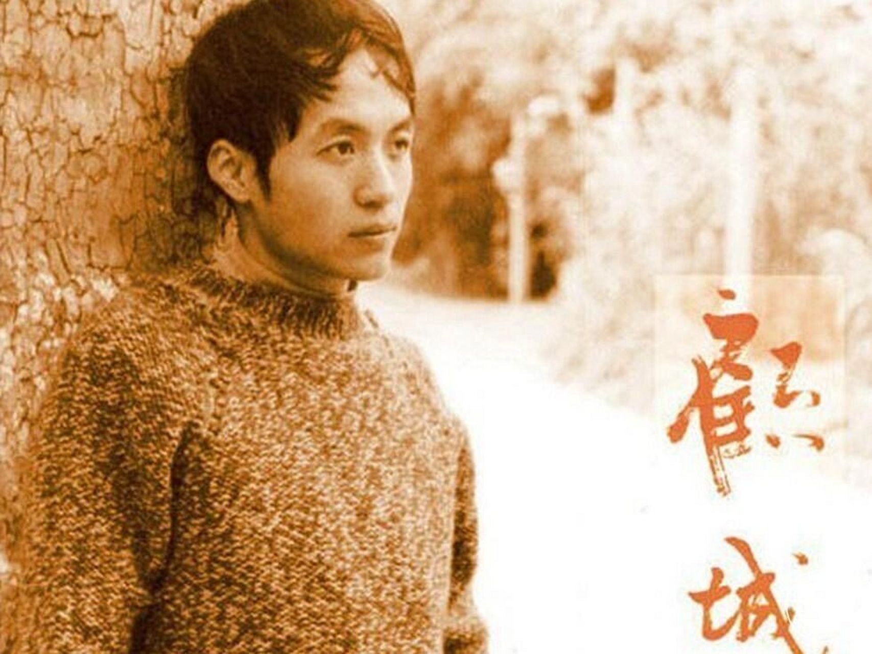 黑夜给了我黑色的眼睛 顾城,当代诗人,著有《黑眼睛》,《顾城诗全篇》