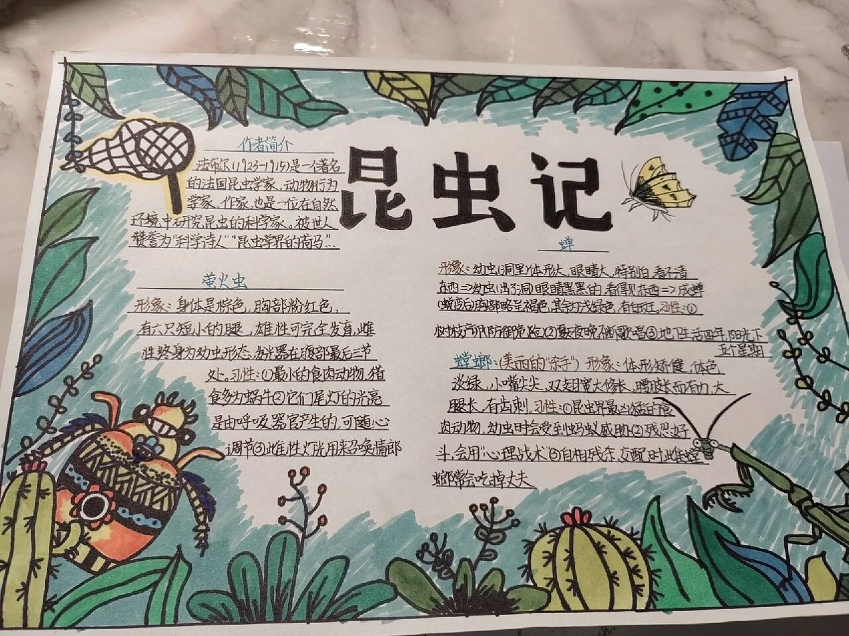 昆虫记08 #08准初二 #昆虫记手抄报 #昆虫记 暑假老师要求画的手