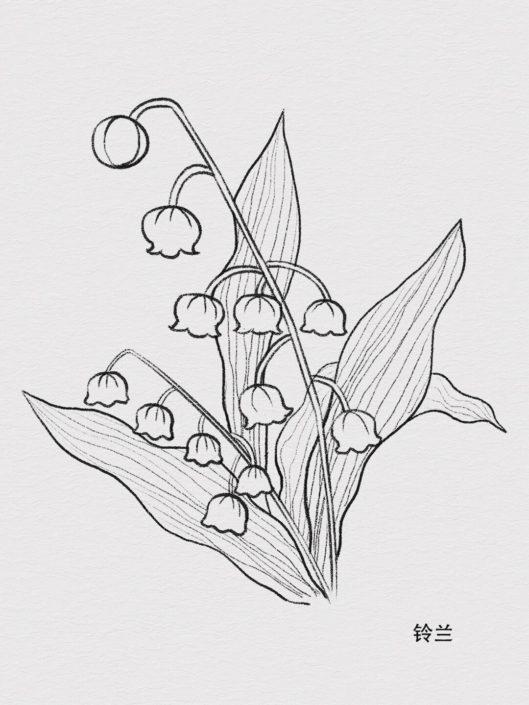 一大波刺绣图稿分享给你