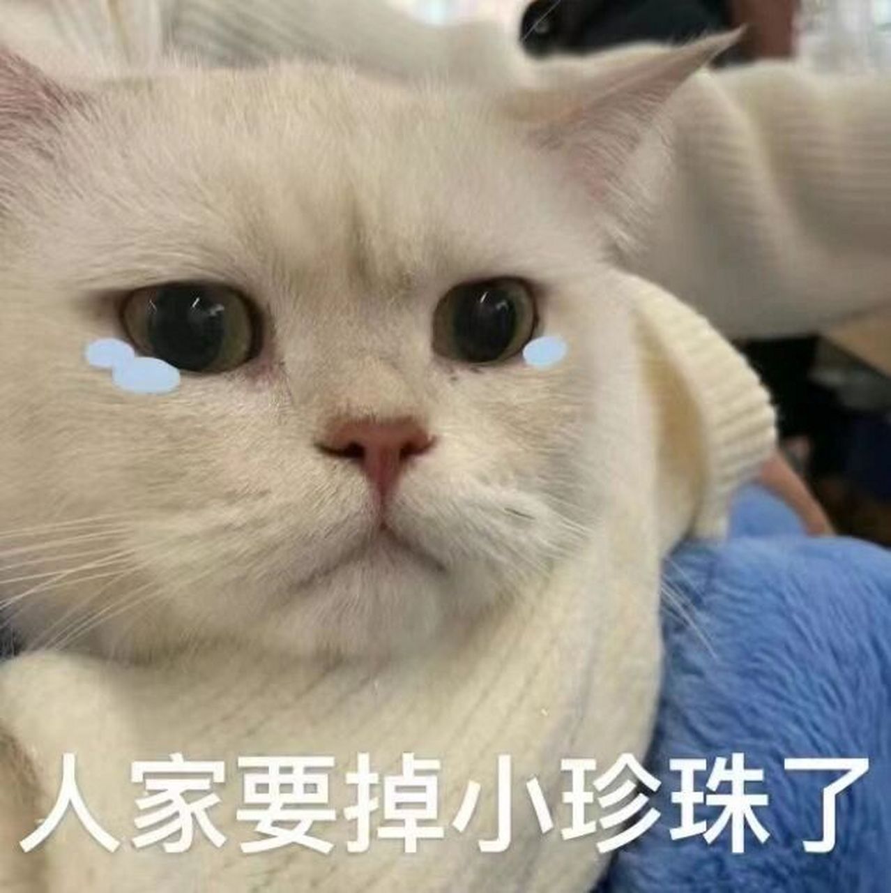 委屈表情包走一波 委屈平时看着委屈巴巴 其实平时表情也可凶呢!