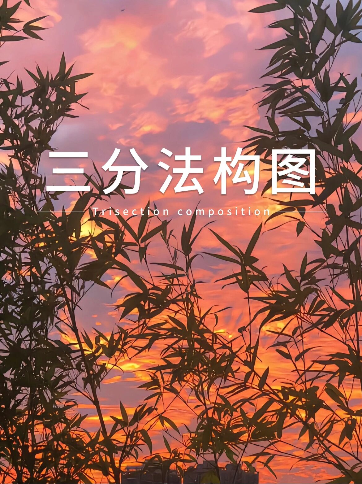 摄影三分法图片